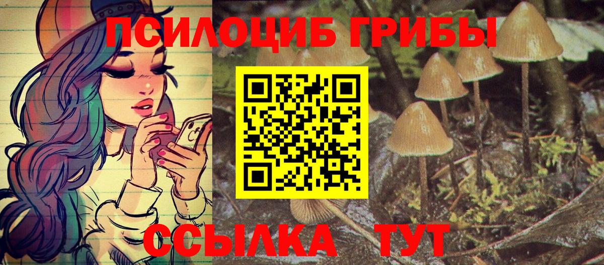 Губкинский  Псилоцибиновые грибы прущие грибы  Вход с VPN 