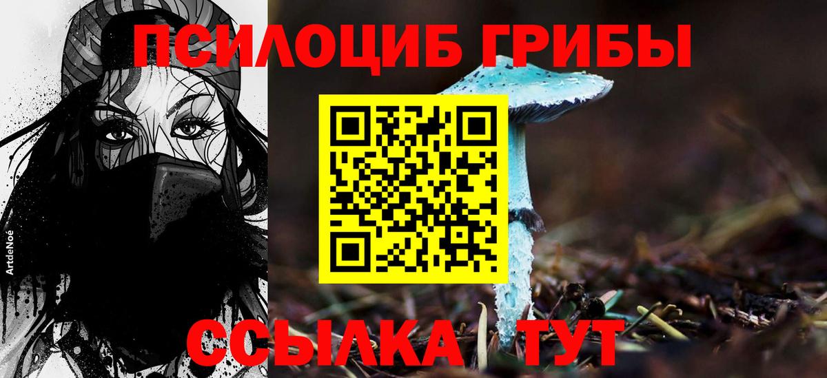 Псилоцибиновые грибы прущие грибы Губкинский